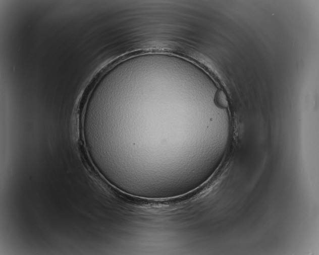 X0000088081075200705251403