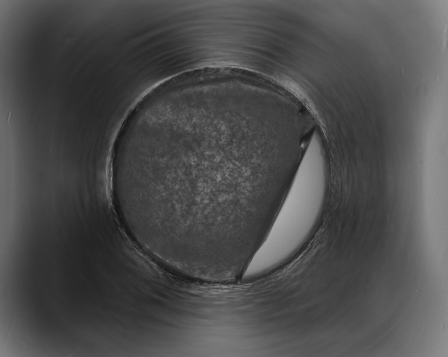 X0000088081076200705251403