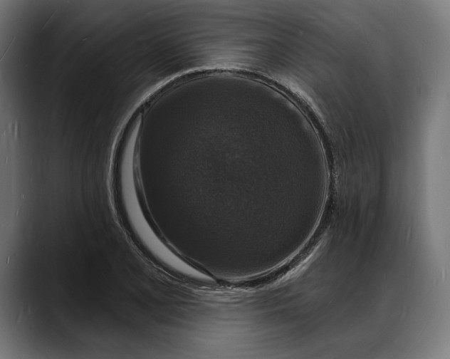 X0000088081077200705251403