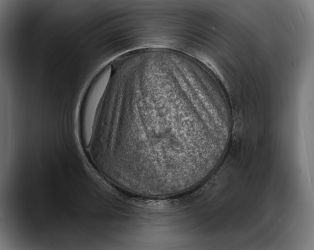 X0000088081080200705251403