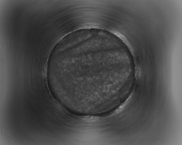 X0000088081081200705251403