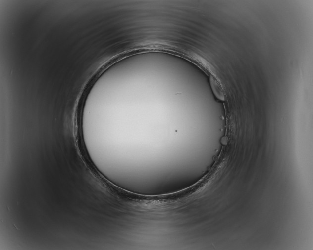 X0000088081082200705251403
