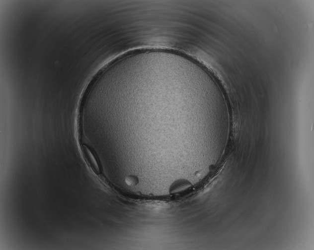 X0000088081085200705251403