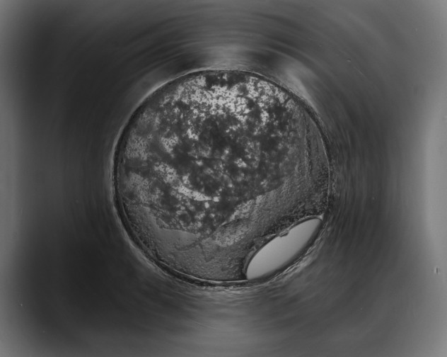 X0000088081087200705251403
