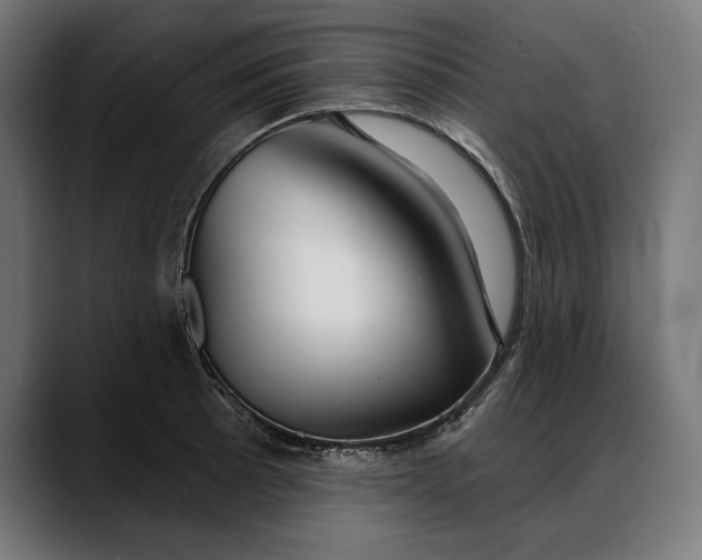 X0000088081089200705251403