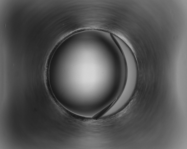 X0000088081093200705251403