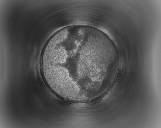 X0000088081094200705251403