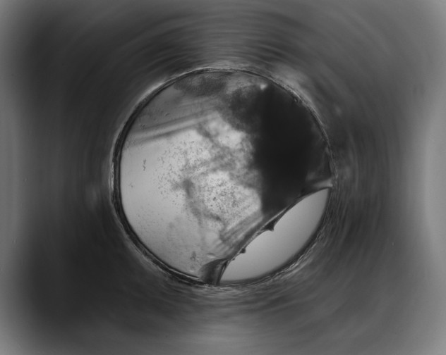 X0000088081095200705251403