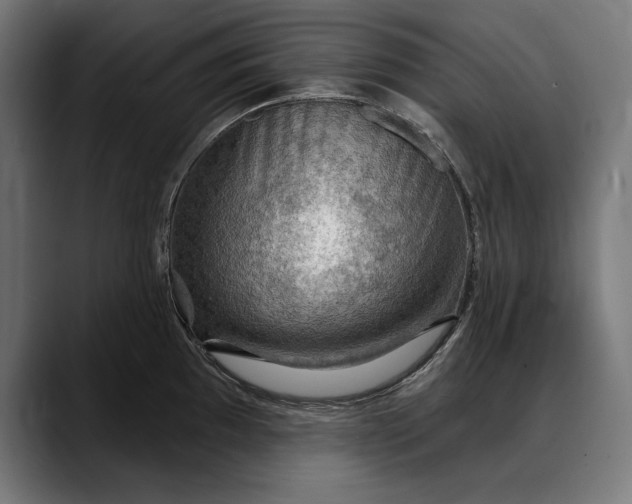 X0000088081097200705251403