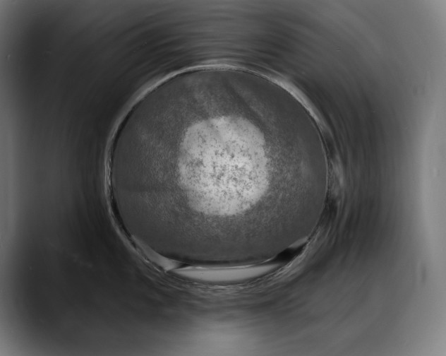 X0000088081101200705251403