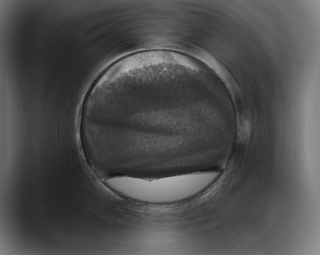 X0000088081102200705251403