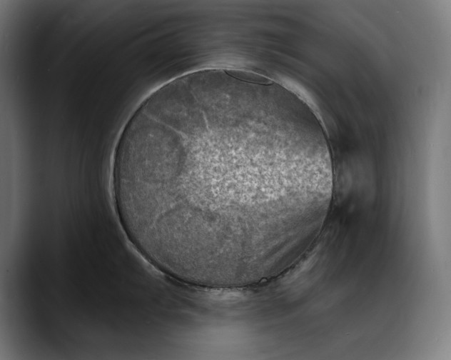 X0000088081103200705251403