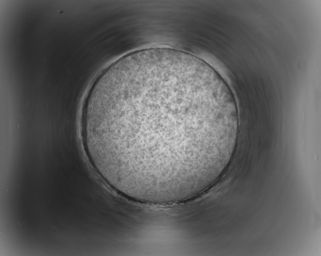 X0000088081104200705251403