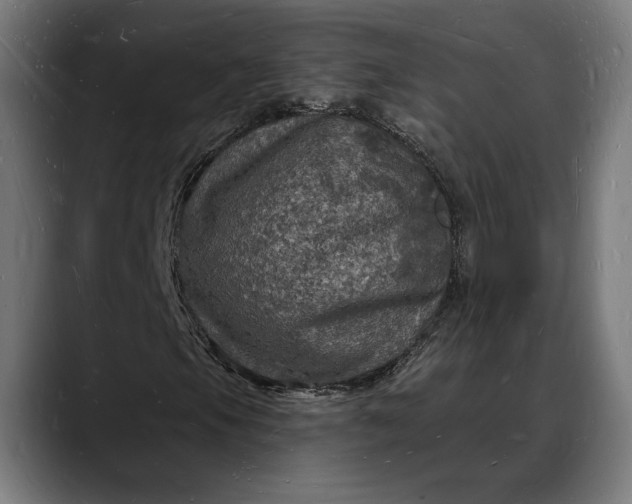 X0000088081105200705251402