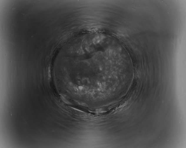 X0000088081106200705251402