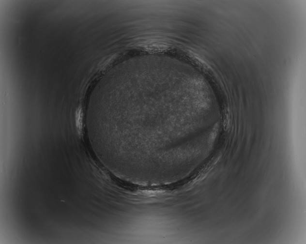 X0000088081108200705251403