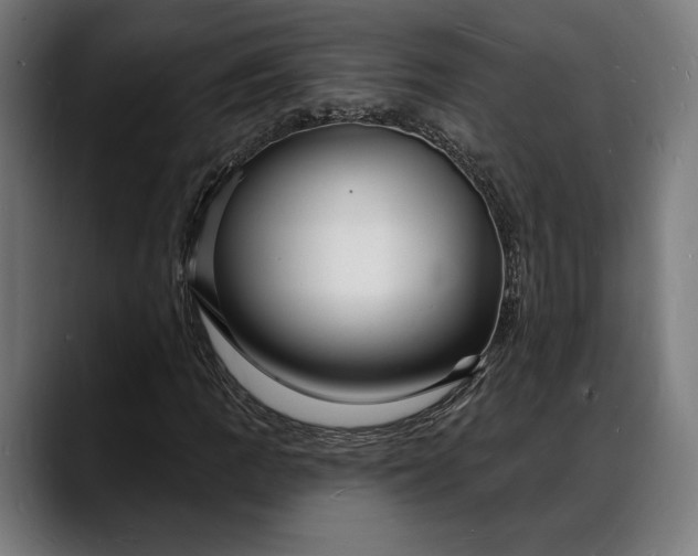X0000088081109200705251403