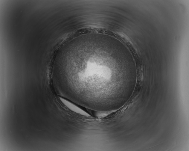 X0000088081110200705251403