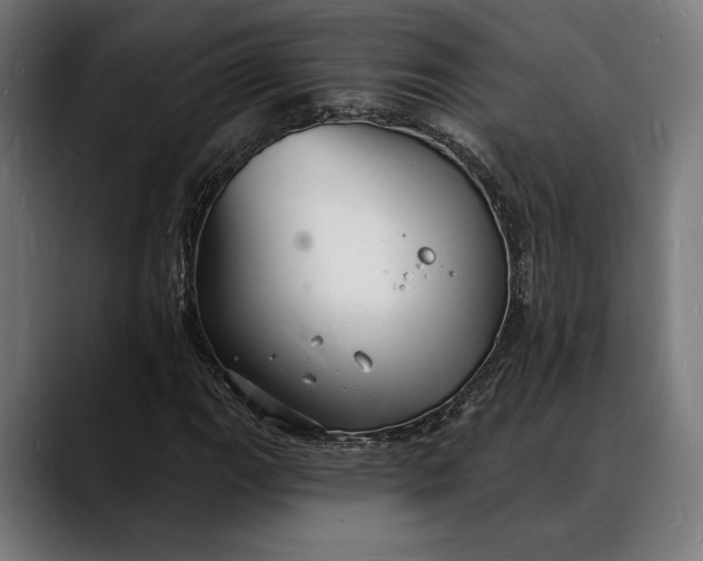X0000088081111200705251403