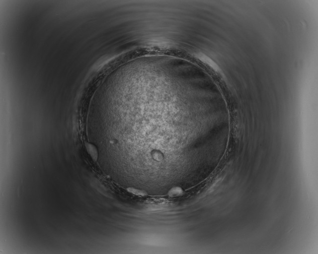 X0000088081112200705251403