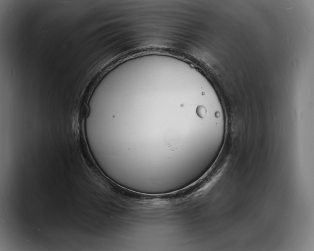 X0000088081113200705251403