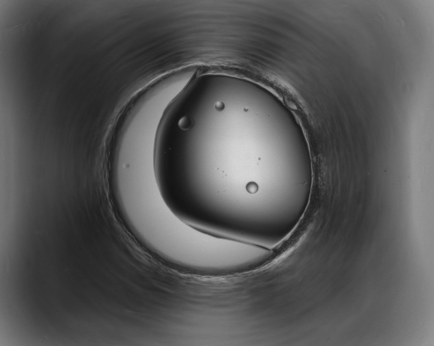 X0000088081114200705251403