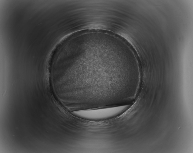 X0000088081115200705251403