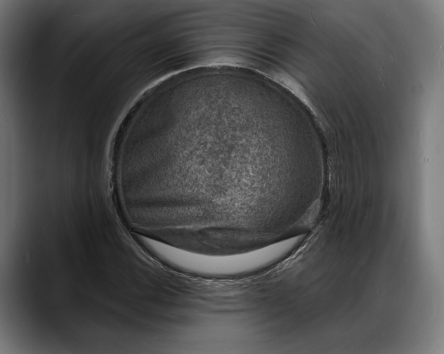 X0000088081116200705251403