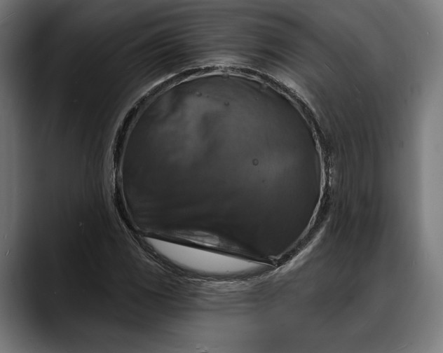 X0000088081117200705251403