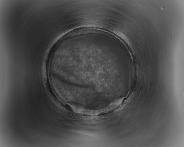 X0000088081120200705251403