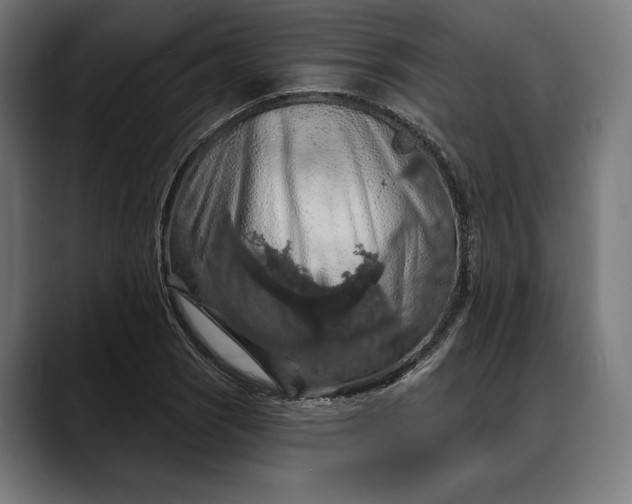 X0000088081121200705251403