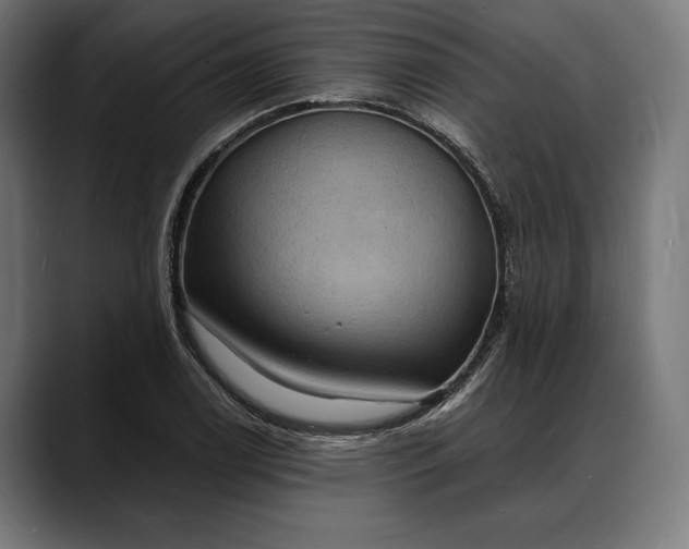 X0000088081122200705251403