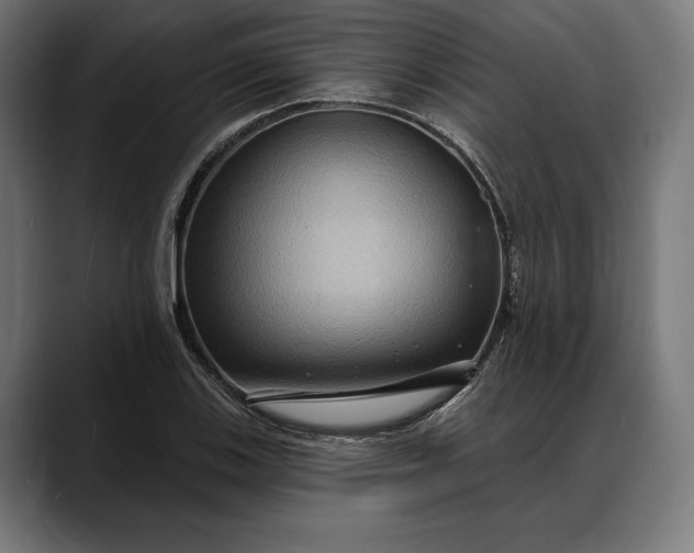 X0000088081123200705251403