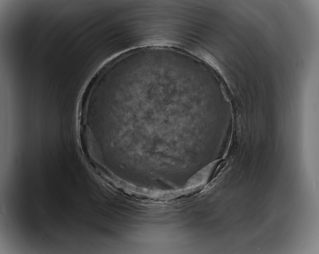 X0000088081124200705251403