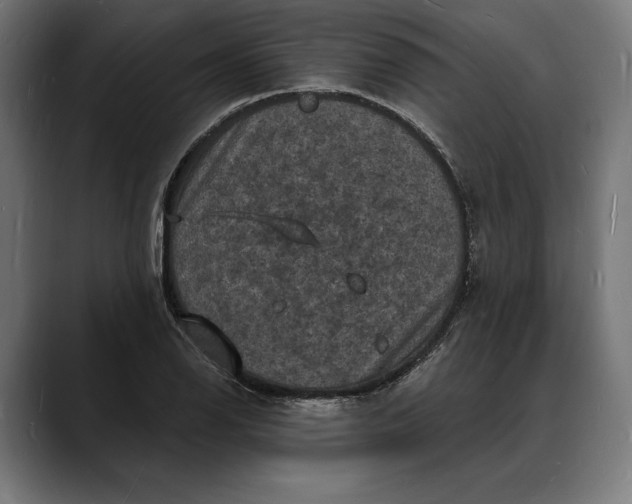 X0000088081126200705251403