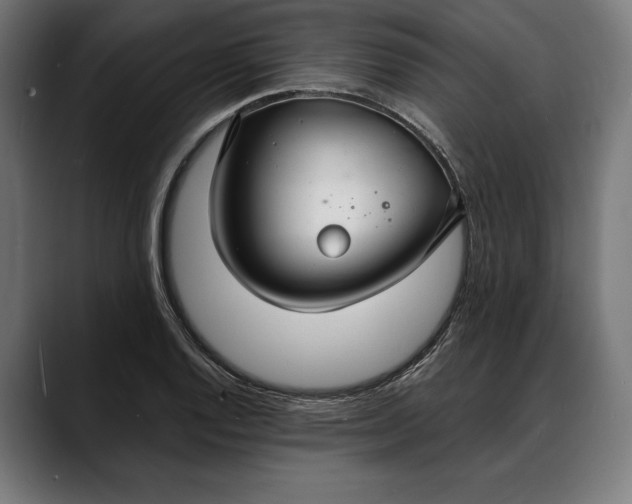 X0000088081128200705251403