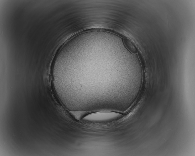 X0000088081129200705251403