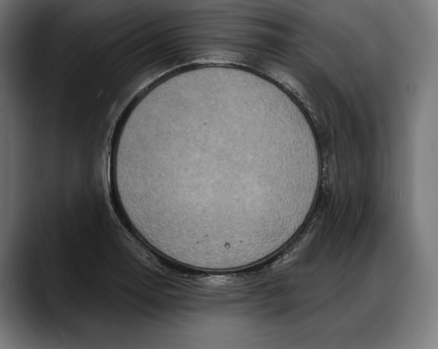 X0000088081130200705251403