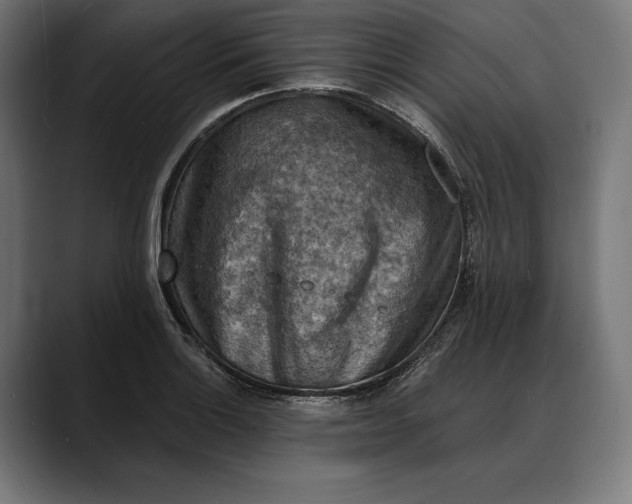 X0000088081132200705251403