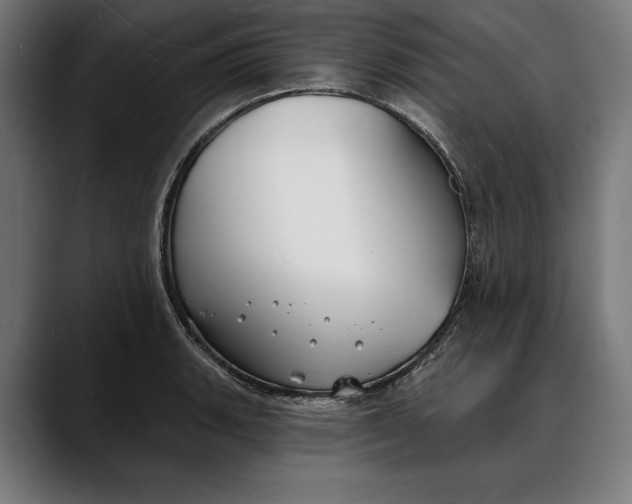 X0000088081135200705251403