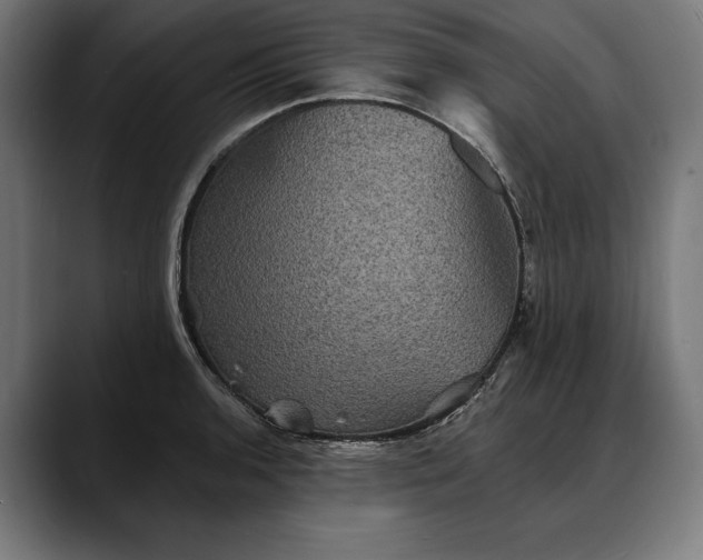 X0000088081136200705251403