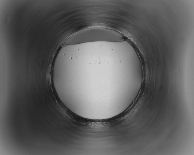 X0000088081137200705251403