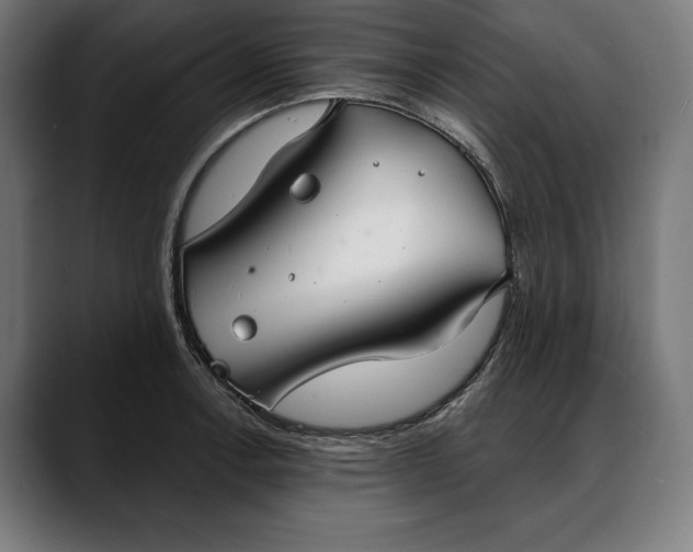 X0000088081138200705251403