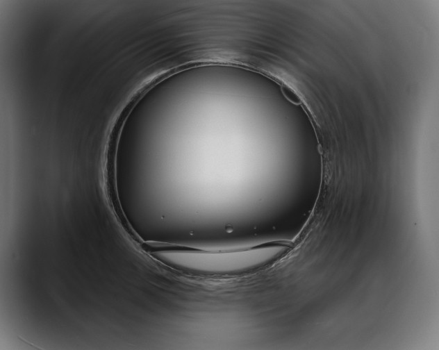 X0000088081139200705251403