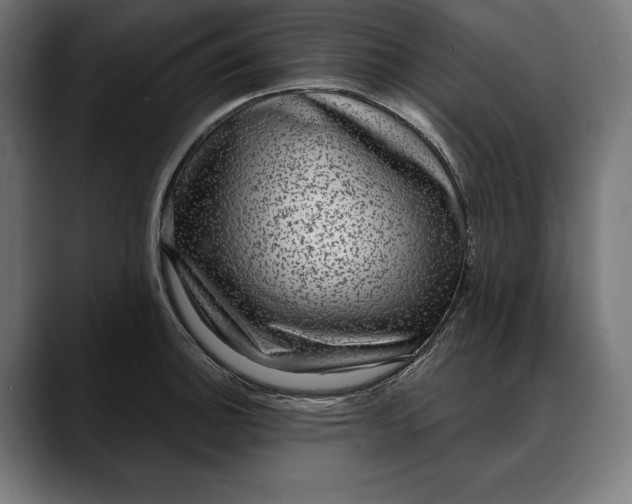 X0000088081140200705251403