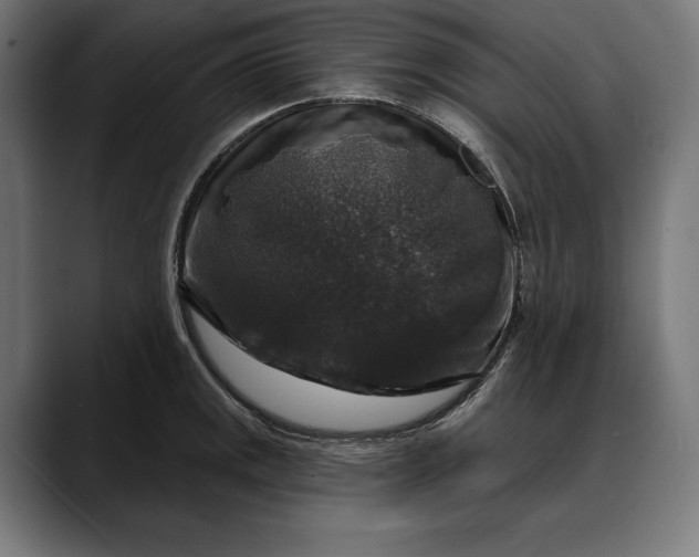 X0000088081141200705251403