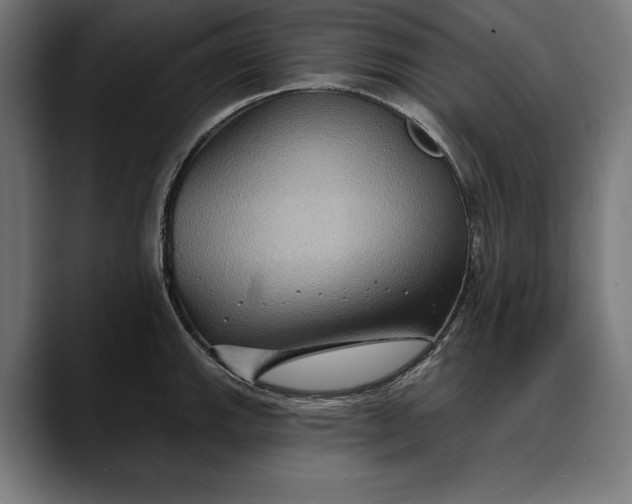 X0000088081143200705251403