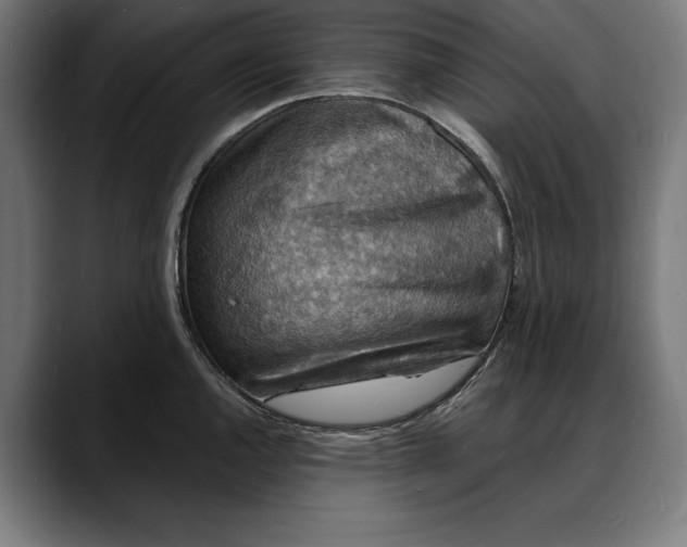 X0000088081144200705251403