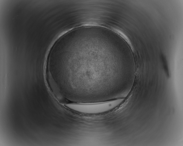 X0000088081146200705251403