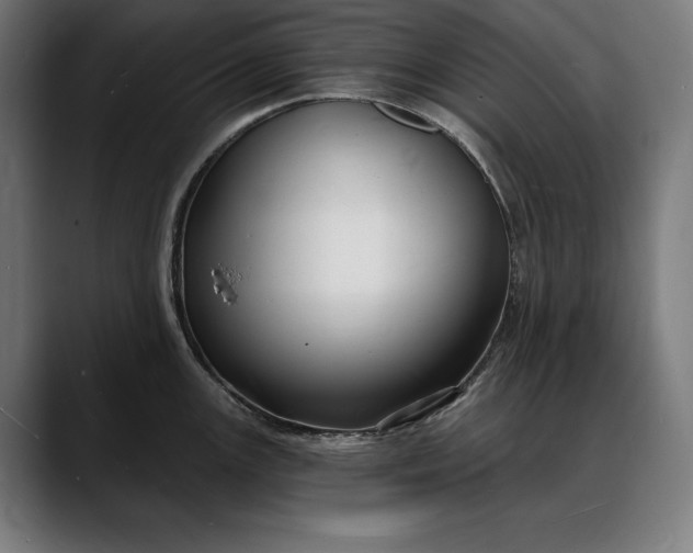 X0000088081147200705251403